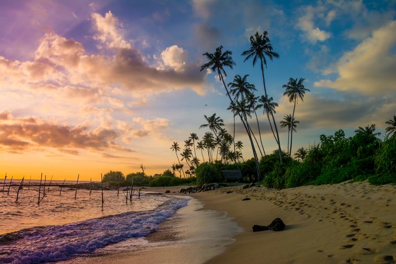 Beach Travel